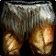Ancestral Woollies