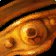 Mammoth Sinew Cinch