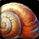 Fossilized Ammonite Choker